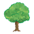 Leafy Green Tree Color PNG