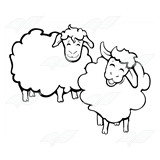 Woolly Sheep