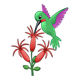 Green Hummingbird drinking from 3 red flowers
