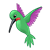 Green Hummingbird Color PNG