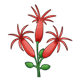 Cluster of 3 Red Flowers with buds on stem