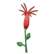 One Red Flower with buds on stem