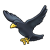 Blackbird Flying Color PNG
