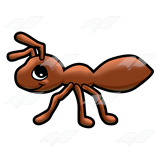 Little Brown Ant