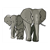 Elephant Family Color PDF
