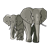 Elephant Family Color PNG