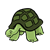 Green Tortoise Color PNG