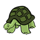 Green Tortoise with long neck