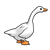 White Duck Color PNG