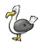 Seagull Color PNG
