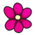 Bright Pink Flower Color PNG