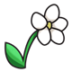 White Flower with stem and leaf