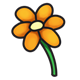 Orange Flower with stem