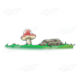 Mushroom and Rock