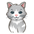 Gray and White Kitten Color PNG