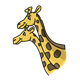 Two Giraffes yellow with brown spots, necks and heads