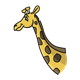 Giraffe yellow with brown spots, neck and head