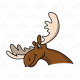 Moose with Antlers