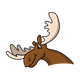 Moose with Antlers head and neck