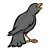Raven Sitting Color PNG