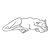 Sleeping Lioness Line PNG