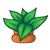 Plant in Clay Pot Color PNG