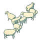 Flock of Sheep 