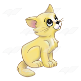 Yellow Kitten