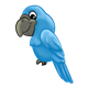Happy Blue Parrot 