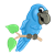 Happy Blue Parrot Color PNG