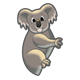 Baby Koala 
