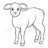 Woolly Lamb