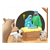 Nativity Scene Color PDF