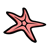 Pink Starfish Color PNG