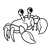 Red Crab Line PNG