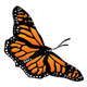 Monarch Butterfly diagonal