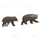 Two Black Bear Cubs
