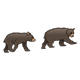 Two Black Bear Cubs 