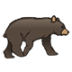 Black Bear Cub looking forward