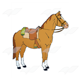 Saddled Horse
