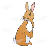Brown Cottontail Rabbit