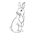 Brown Cottontail Rabbit Line PNG