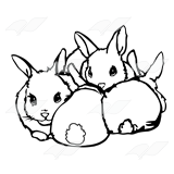 Group of Rabbit Kits
