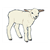 Woolly Sheep Color PDF