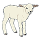 Woolly Sheep lamb