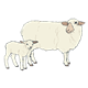 Woolly Sheep ewe and lamb