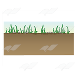Grass, Rocks, and Dirt