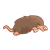 Large Mole Color PNG