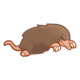Large Mole 