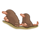 Small Moles 